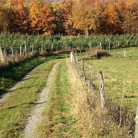 Hotel Westfeld Schmallenberg