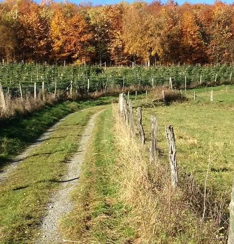 Hotel Westfeld Schmallenberg
